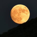 Moon light run - Luna del lombrico